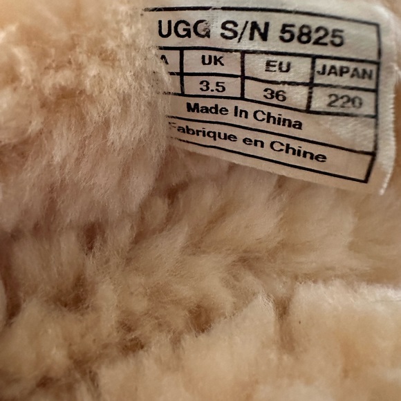 Ugg Classic Short II - Chestnut - Ladies US5 - Picture 5 of 5